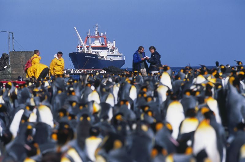 la Journée Mondiale de l'Océan