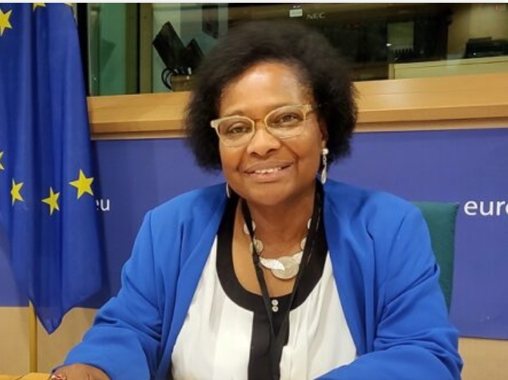 Dr. P. Herzberger-Fofana Bruelles 2020